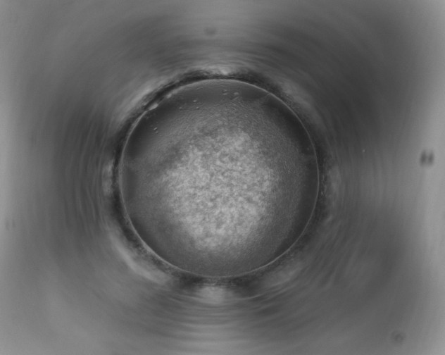 X0000112460596200908171205