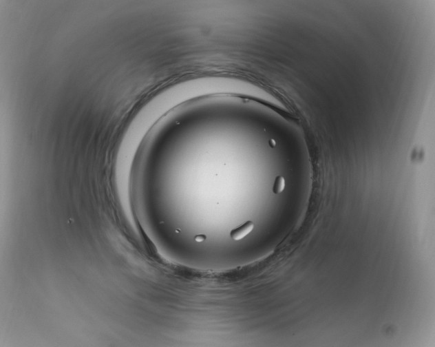 X0000112460597200908171205