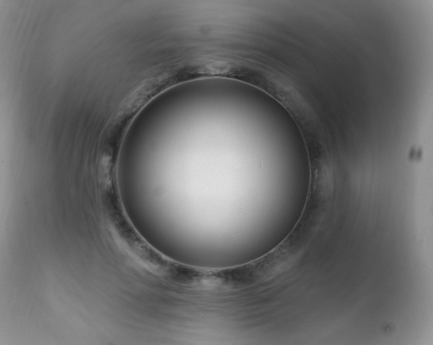X0000112460598200908171205