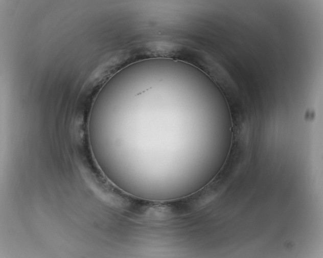 X0000112460599200908171205