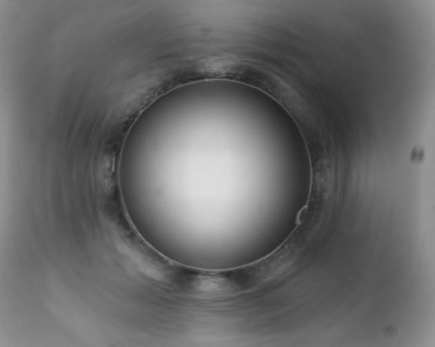 X0000112460605200908171205