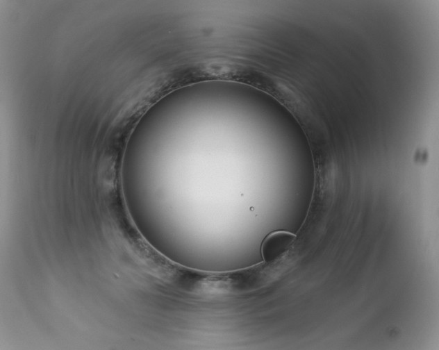 X0000112460606200908171205