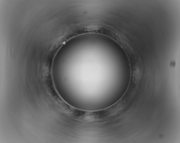 X0000112460608200908171205
