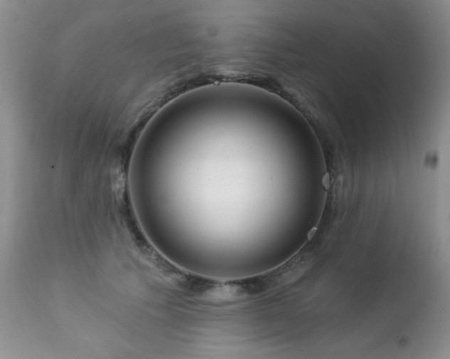 X0000112460609200908171205