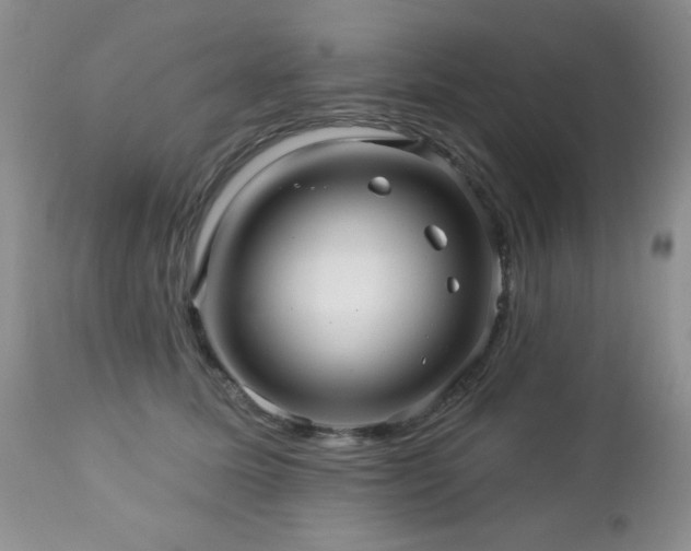 X0000112460611200908171205