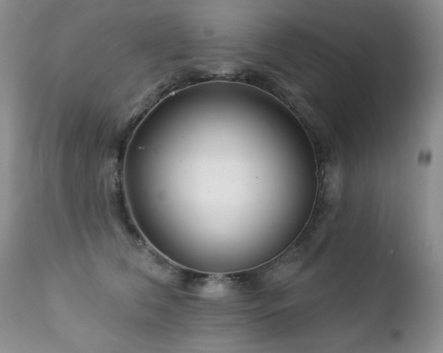 X0000112460612200908171205