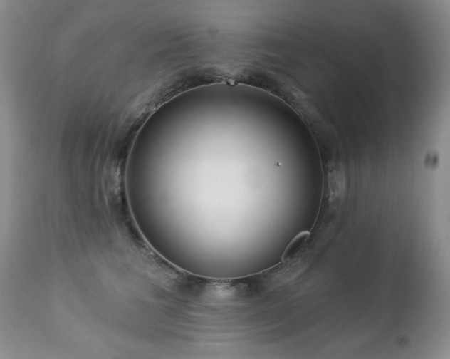 X0000112460613200908171205