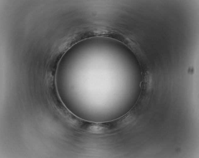 X0000112460614200908171205
