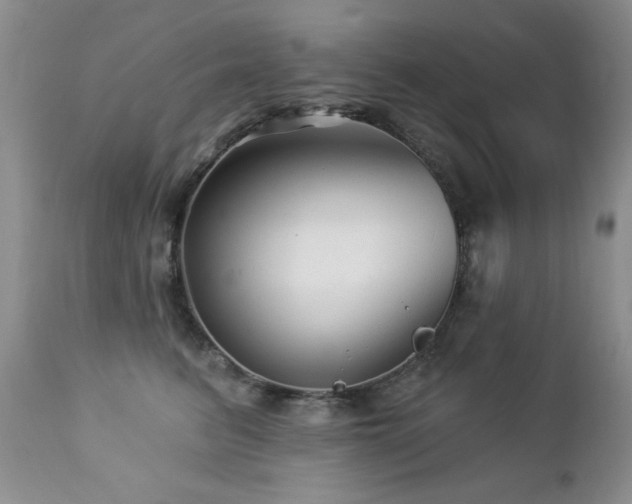 X0000112460615200908171205