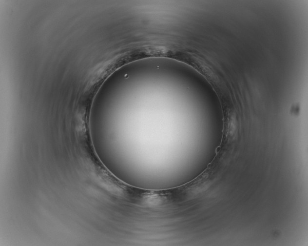X0000112460616200908171205
