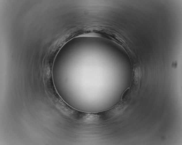 X0000112460617200908171204