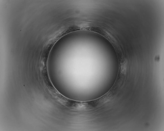 X0000112460618200908171204