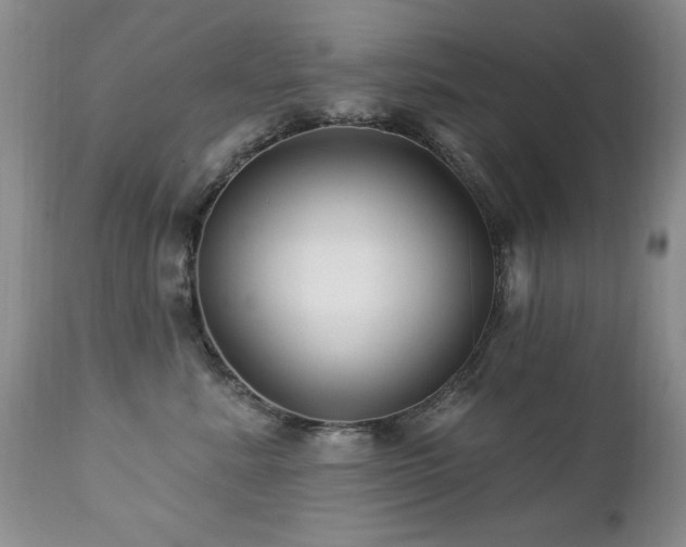 X0000112460619200908171204