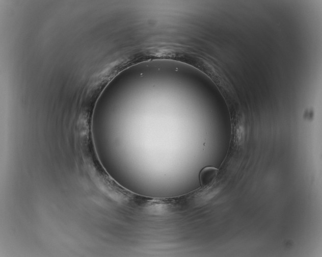 X0000112460620200908171204