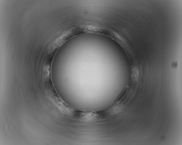 X0000112460621200908171204