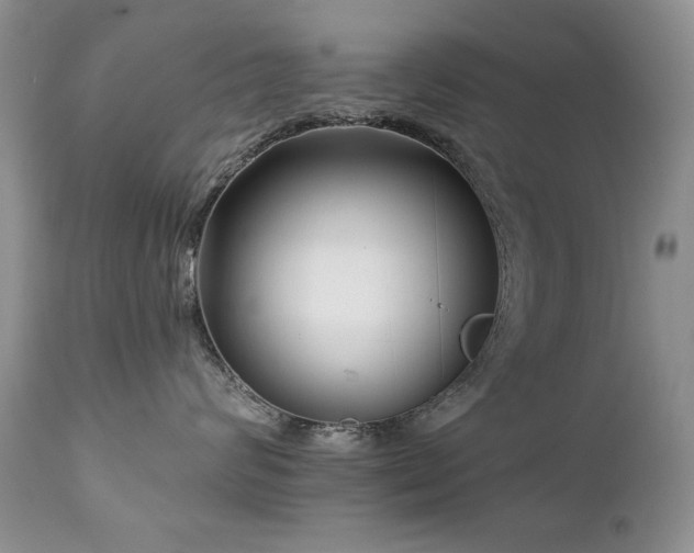 X0000112460624200908171204