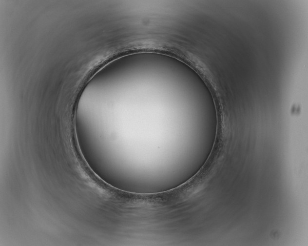X0000112460625200908171204