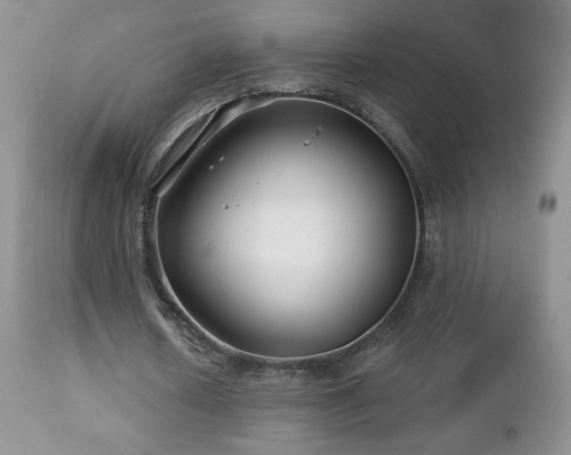 X0000112460626200908171204