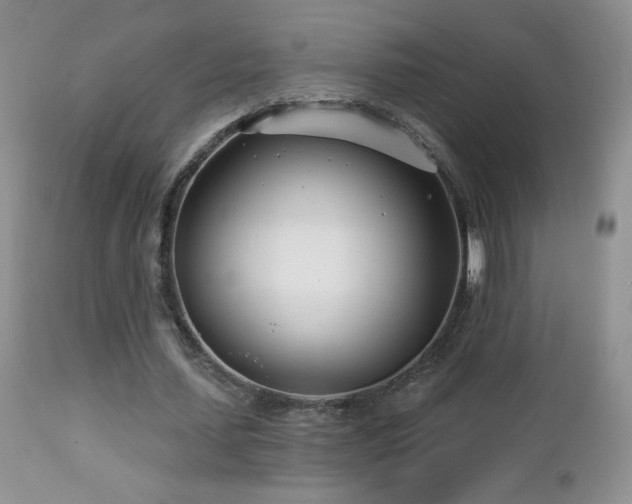X0000112460627200908171204