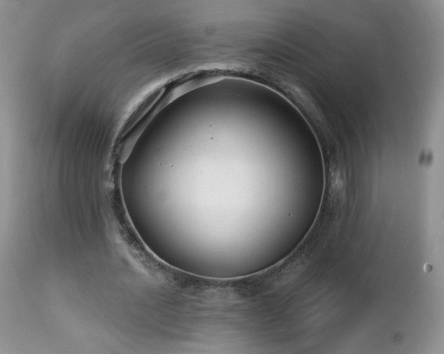 X0000112460628200908171204