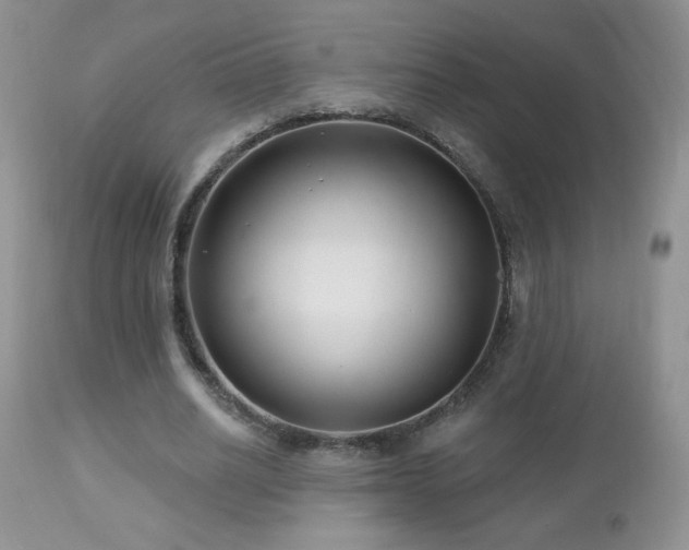 X0000112460630200908171204