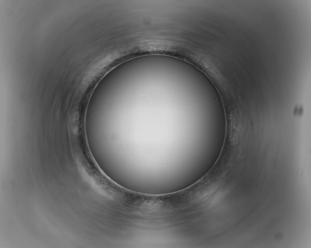 X0000112460631200908171204
