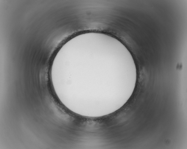 X0000112460632200908171204