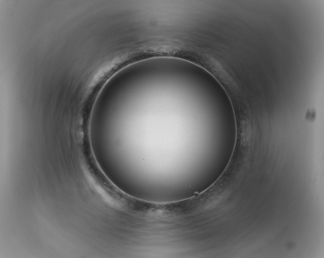 X0000112460634200908171204