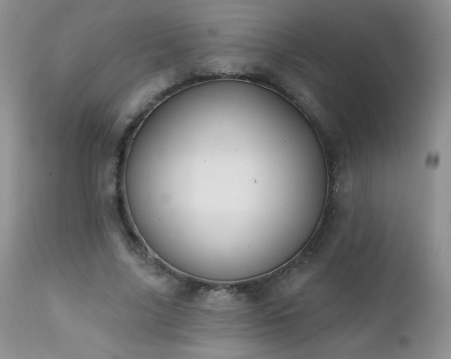 X0000112460635200908171204