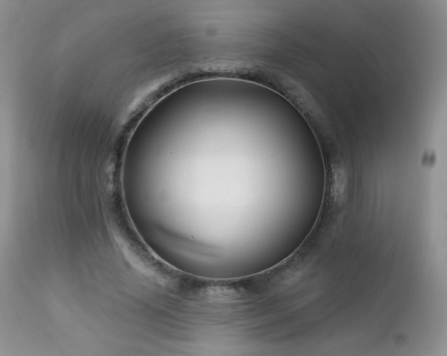 X0000112460636200908171204