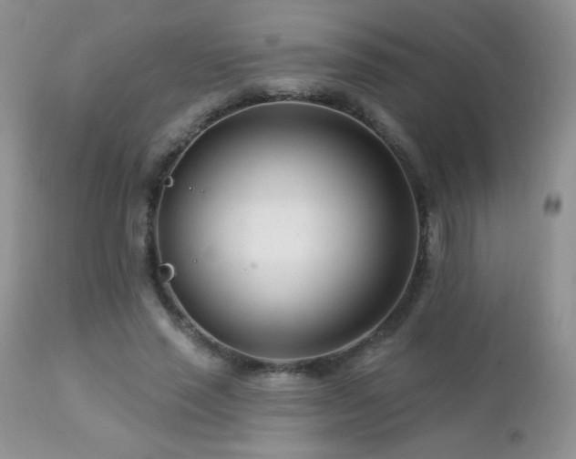 X0000112460637200908171204
