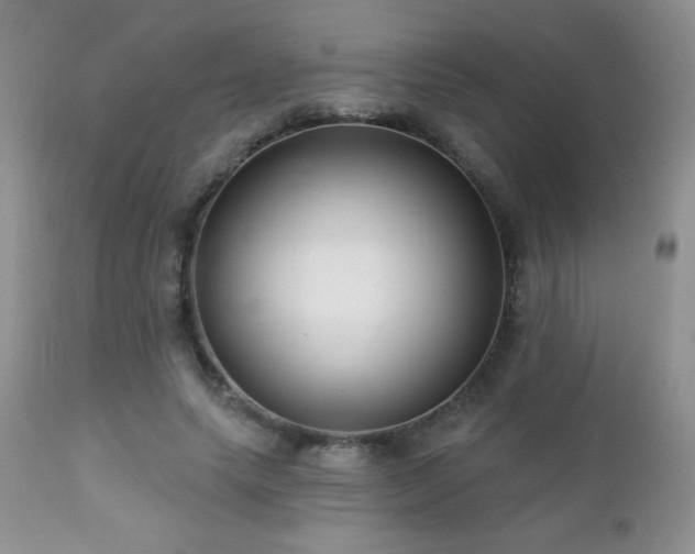 X0000112460639200908171204