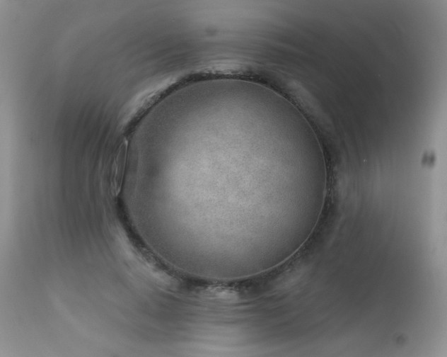 X0000112460640200908171204
