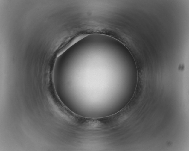 X0000112460642200908171204