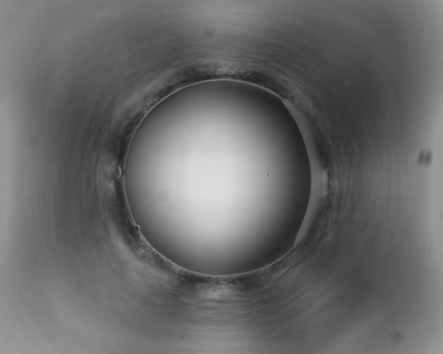 X0000112460643200908171204
