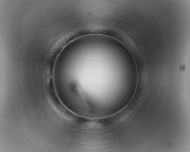 X0000112460644200908171204