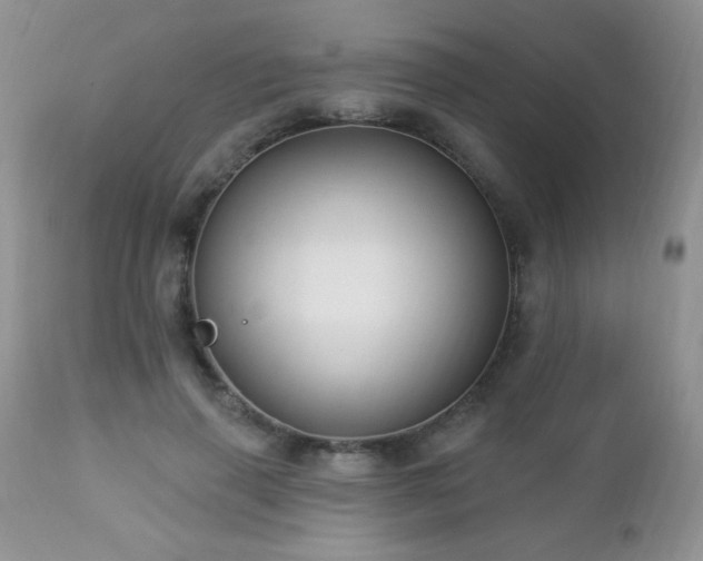 X0000112460645200908171204