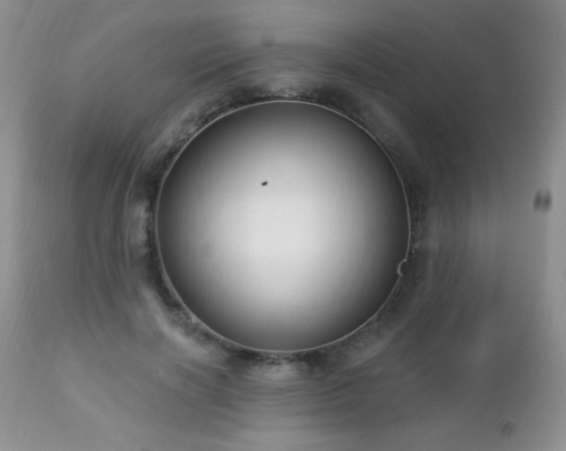 X0000112460646200908171204