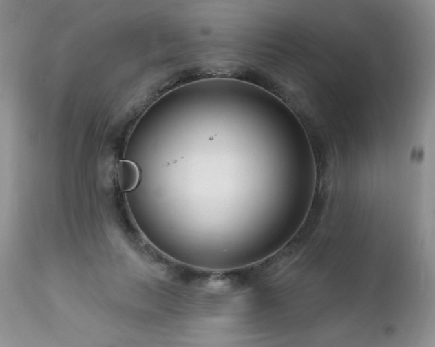 X0000112460647200908171204