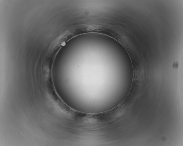 X0000112460648200908171204