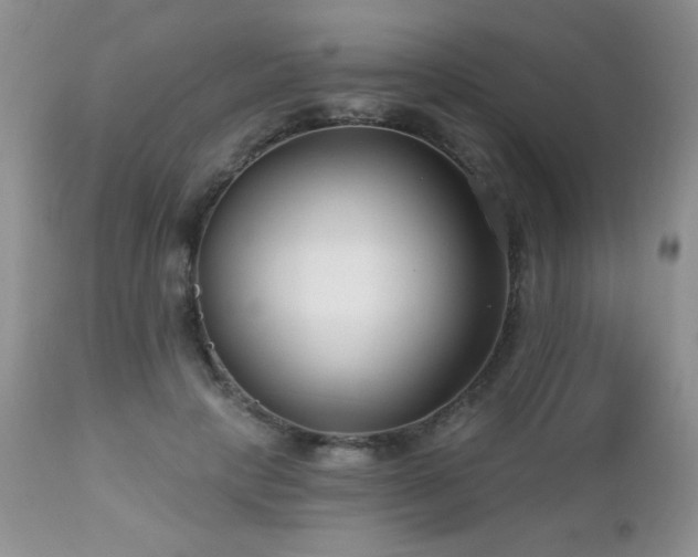 X0000112460649200908171204