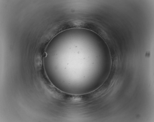 X0000112460651200908171204
