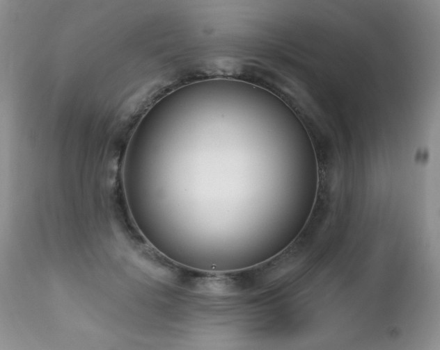 X0000112460652200908171204