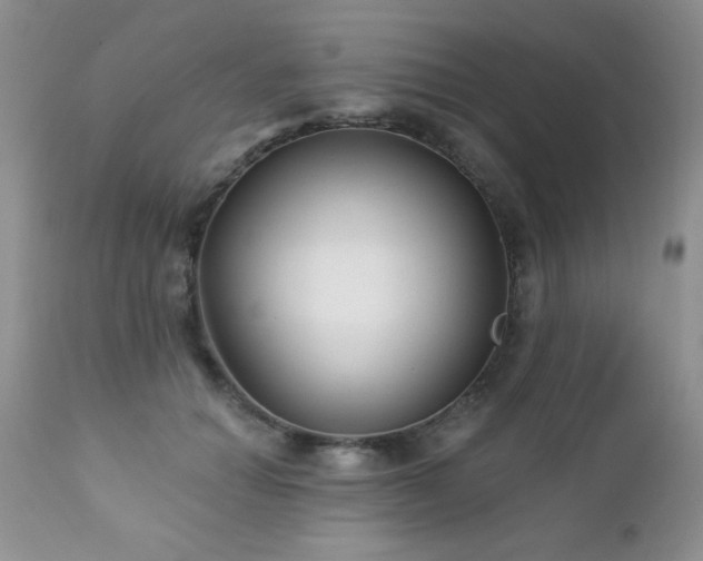 X0000112460654200908171204
