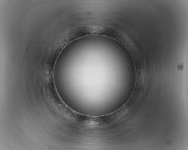 X0000112460655200908171204