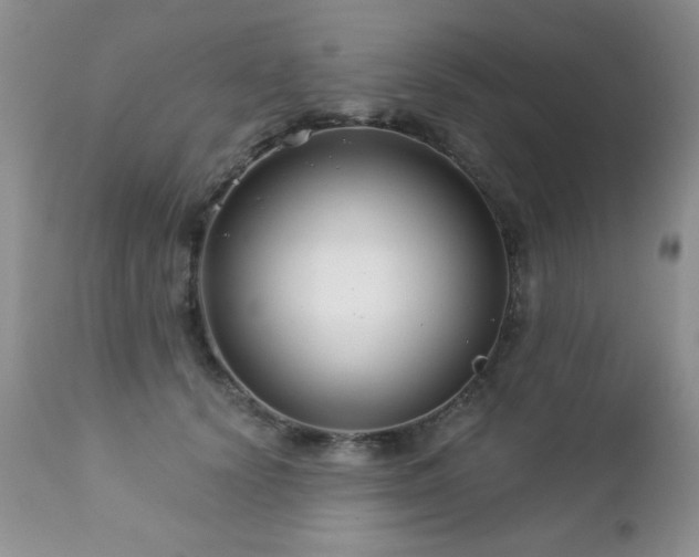 X0000112460656200908171204