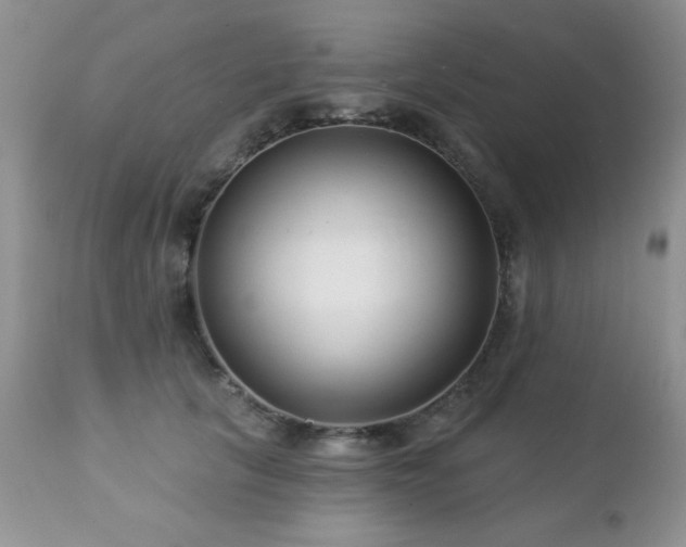 X0000112460657200908171204