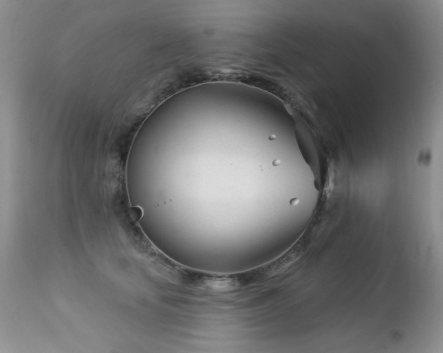X0000112460659200908171204