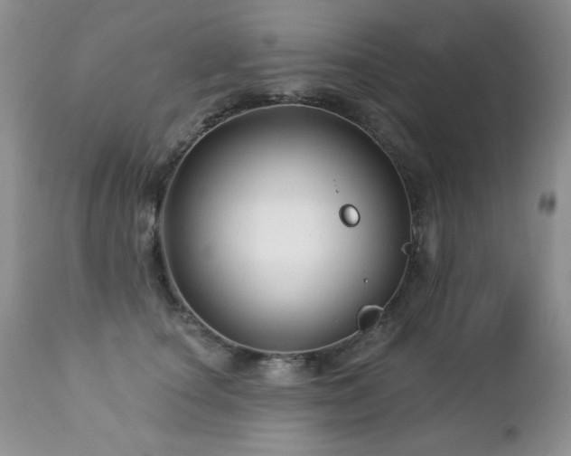 X0000112460660200908171204