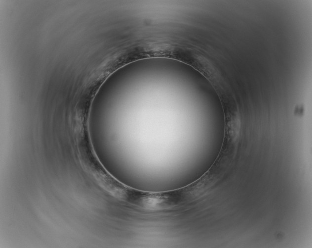 X0000112460662200908171204